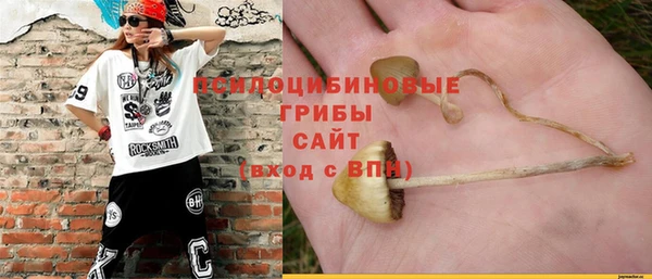 трава Абинск