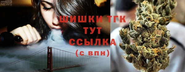 винт Рославль
