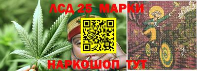 прущие грибы Донецк