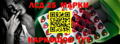 прущие грибы Донецк
