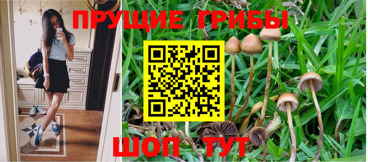 Донецк  Псилоцибиновые грибы MAGIC MUSHROOMS  Вход с VPN 